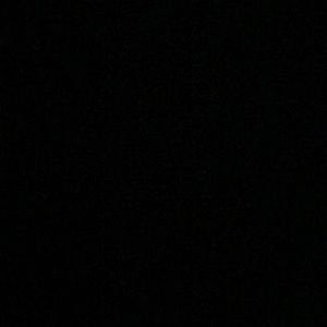 Meet your Posher, Bella